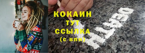 прущие грибы Бронницы