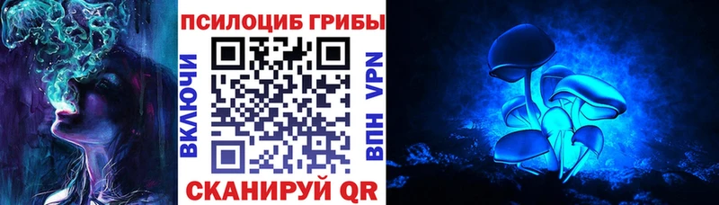 Галлюциногенные грибы Cubensis  mega зеркало  Минеральные Воды 